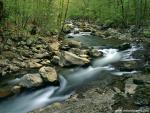 river_123