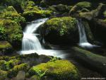 river_127