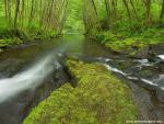 river_138