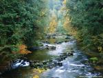 river_140
