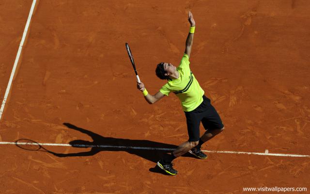 Milos_Raonic_01