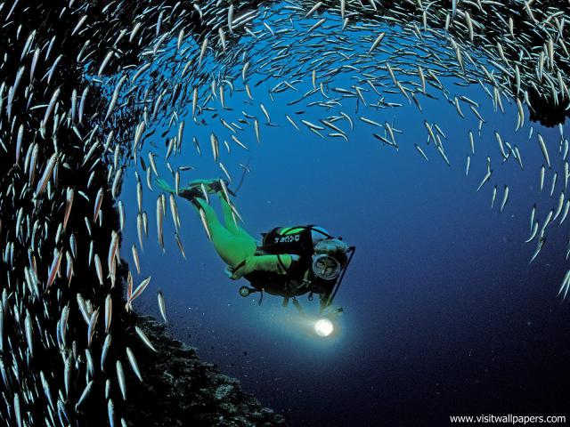 Scuba_Diving_02