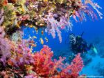 Scuba_Diving_04