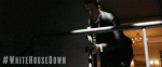whd_gif_01