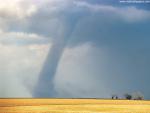 force_of_nature_50