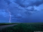 force_of_nature_54