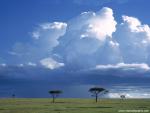force_of_nature_55