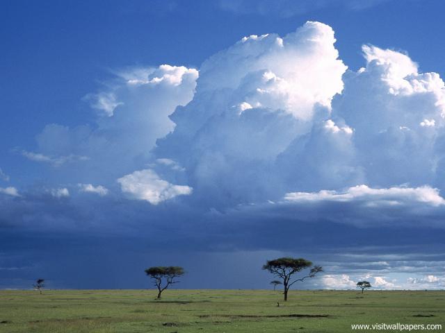 force_of_nature_55