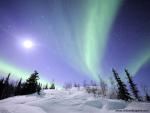 force_of_nature_56