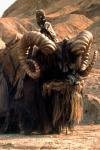 bantha