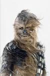 chewie