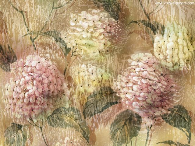 Wallflowers