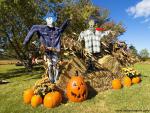 Halloween_Time
