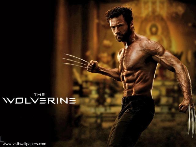 the_wolverine_13
