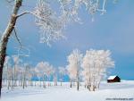 Woodsy_Cabin