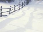 Winter_Beauty