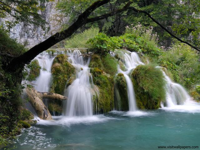 Parks_152
