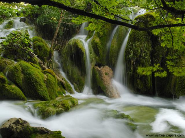 Parks_153