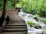 Parks_155