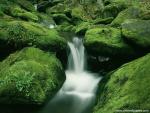 Parks_160
