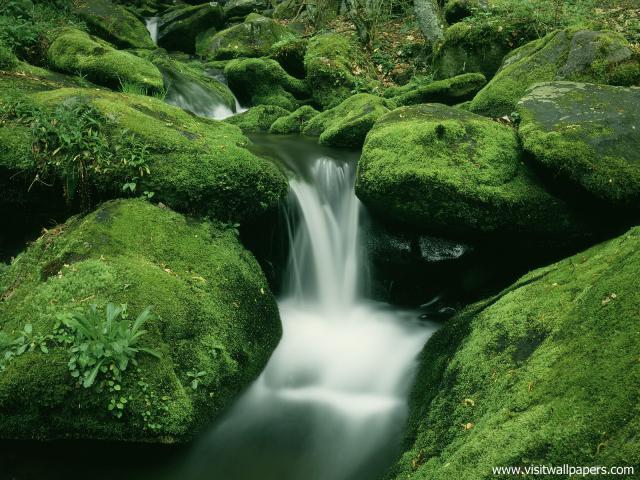 Parks_160