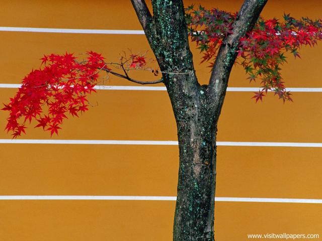 Japan_068