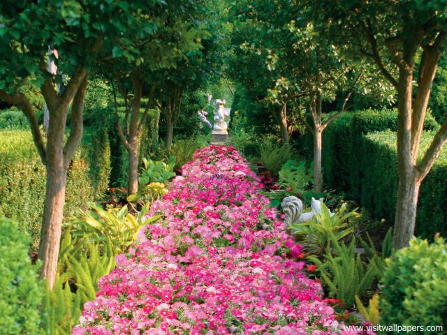 Fragrant_Pathway