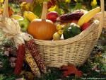 Autumn_Harvest_02