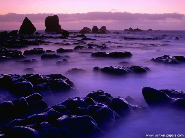 New_Zealand_155