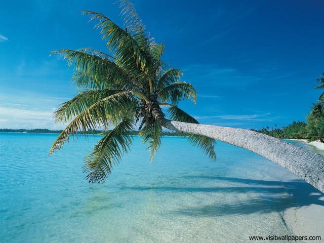 oceans_120