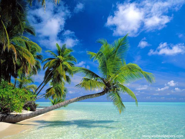 oceans_127