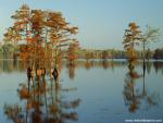 lakes_179