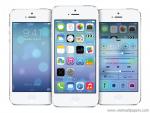 apple_044
