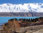 New_Zealand_166