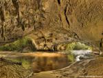 New_Zealand_169