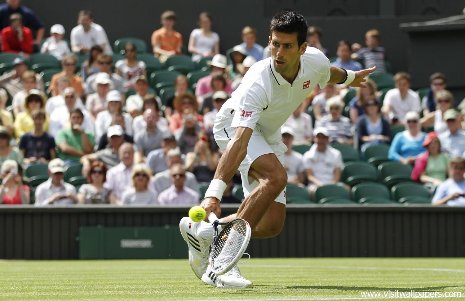 Novak_Djokovic_105