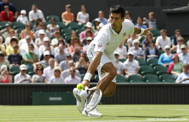 Novak_Djokovic_105