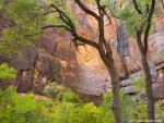 Parks_163