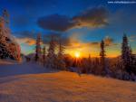 Parks_169