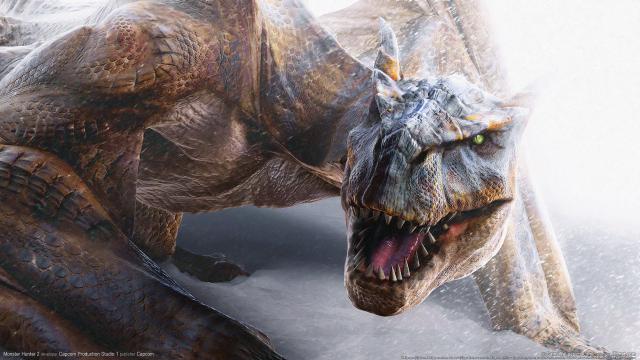 monster_hunter_2