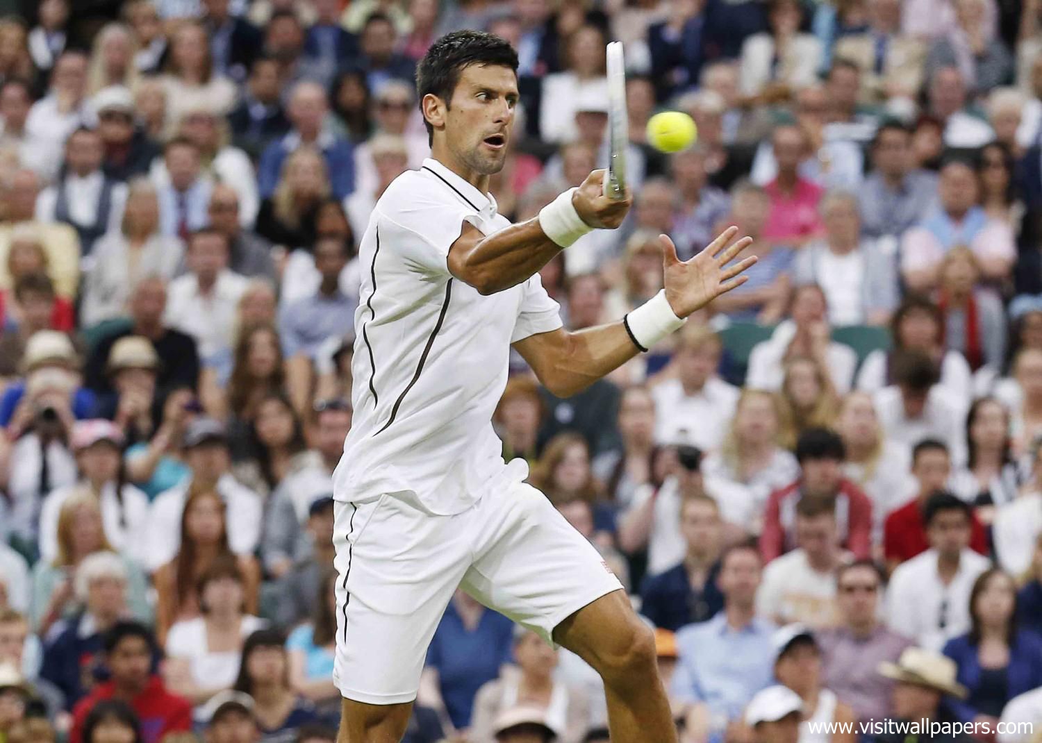 Novak_Djokovic_121