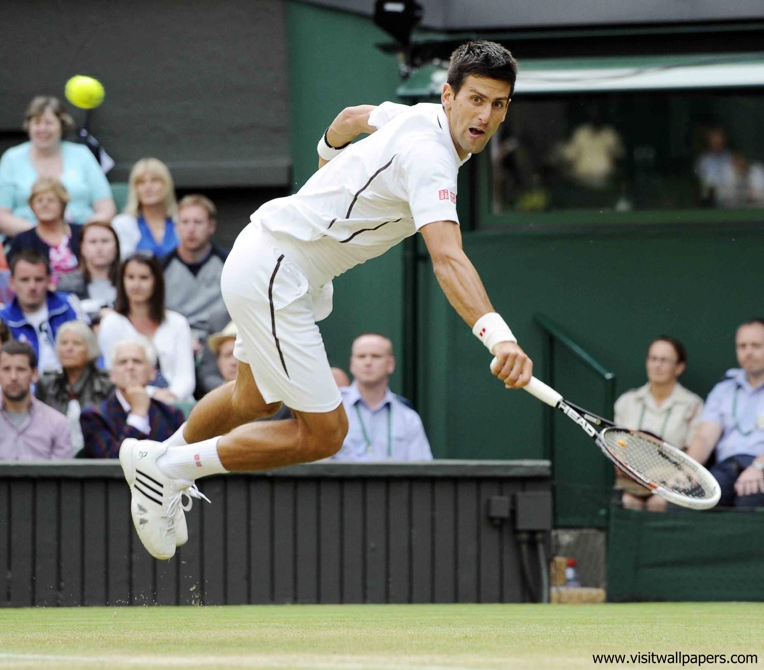 Novak_Djokovic_139
