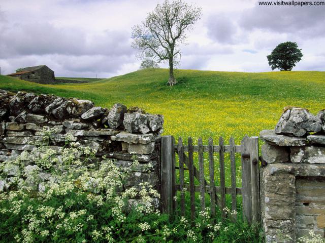 England_062