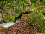 river_170