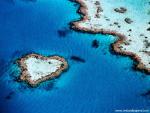 Aerial_view_301