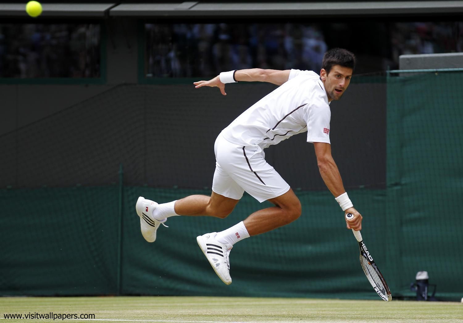 Novak_Djokovic_150