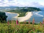 Aerial_view_318