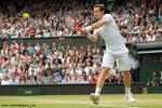 Andy_Murray_33