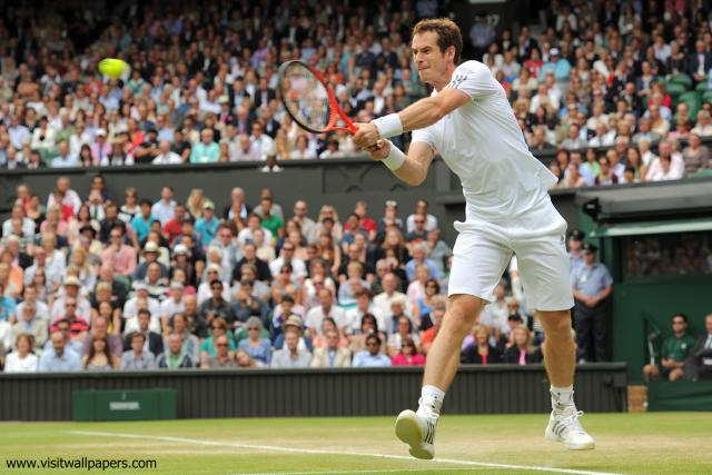 Andy_Murray_33