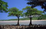 Beaches_007